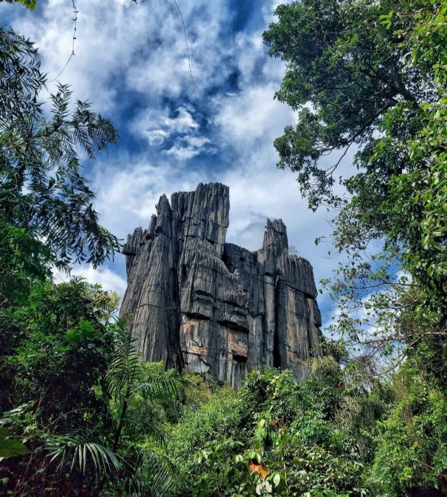 Towering black limestone rock formation of Yana Caves surrounded by dense forest in Karnataka