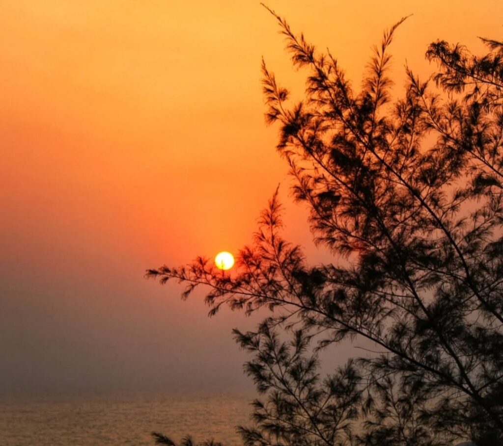 Glowing sunset behind a silhouetted tree at Apsarakonda Beach, casting warm hues over the sea and sky
