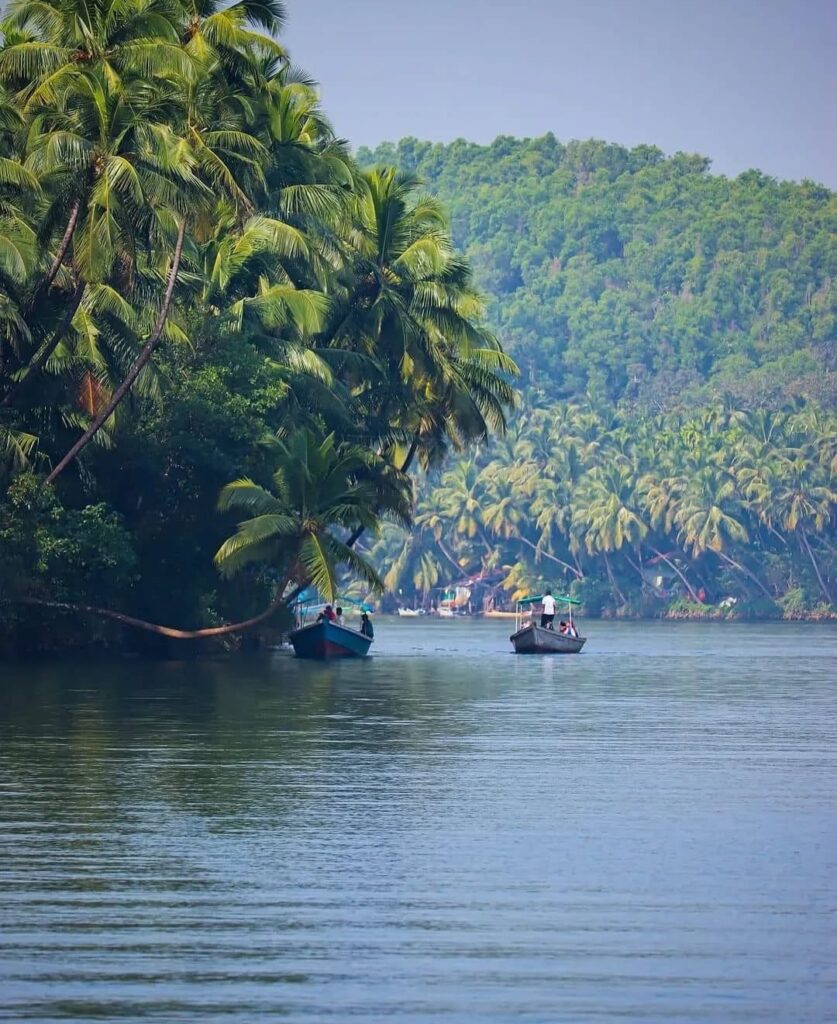 View from a boat on the Sharavathi backwaters with open skies and distant hills.