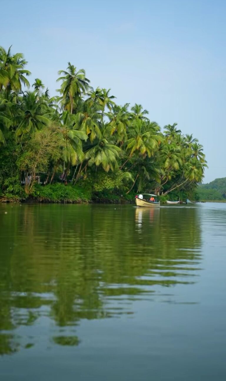 Sharavathi backwaters with clear skies and reflections on the water.